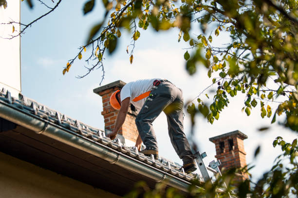 Best Roof Gutter Cleaning  in Bainbridge, GA