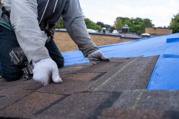 Best Metal Roofing Contractor  in Bainbridge, GA
