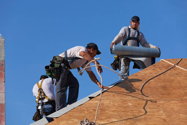 Best Local Roofing Companies  in Bainbridge, GA